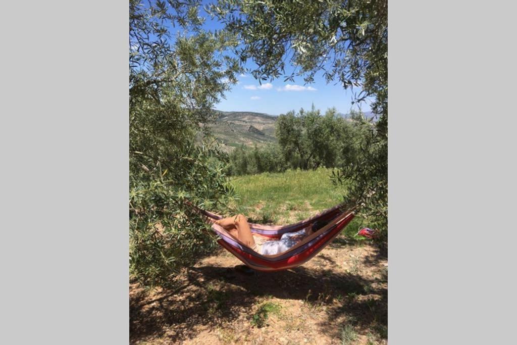 Appartement New Leaf Cortijo ,moclin