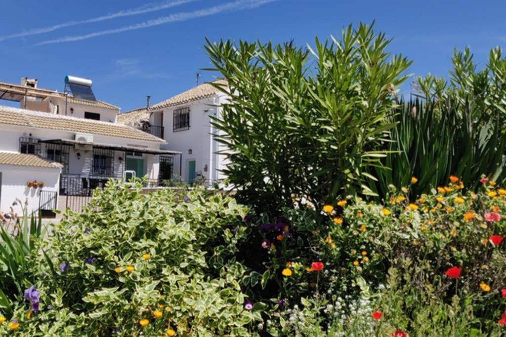 New Leaf Cortijo ,moclin *